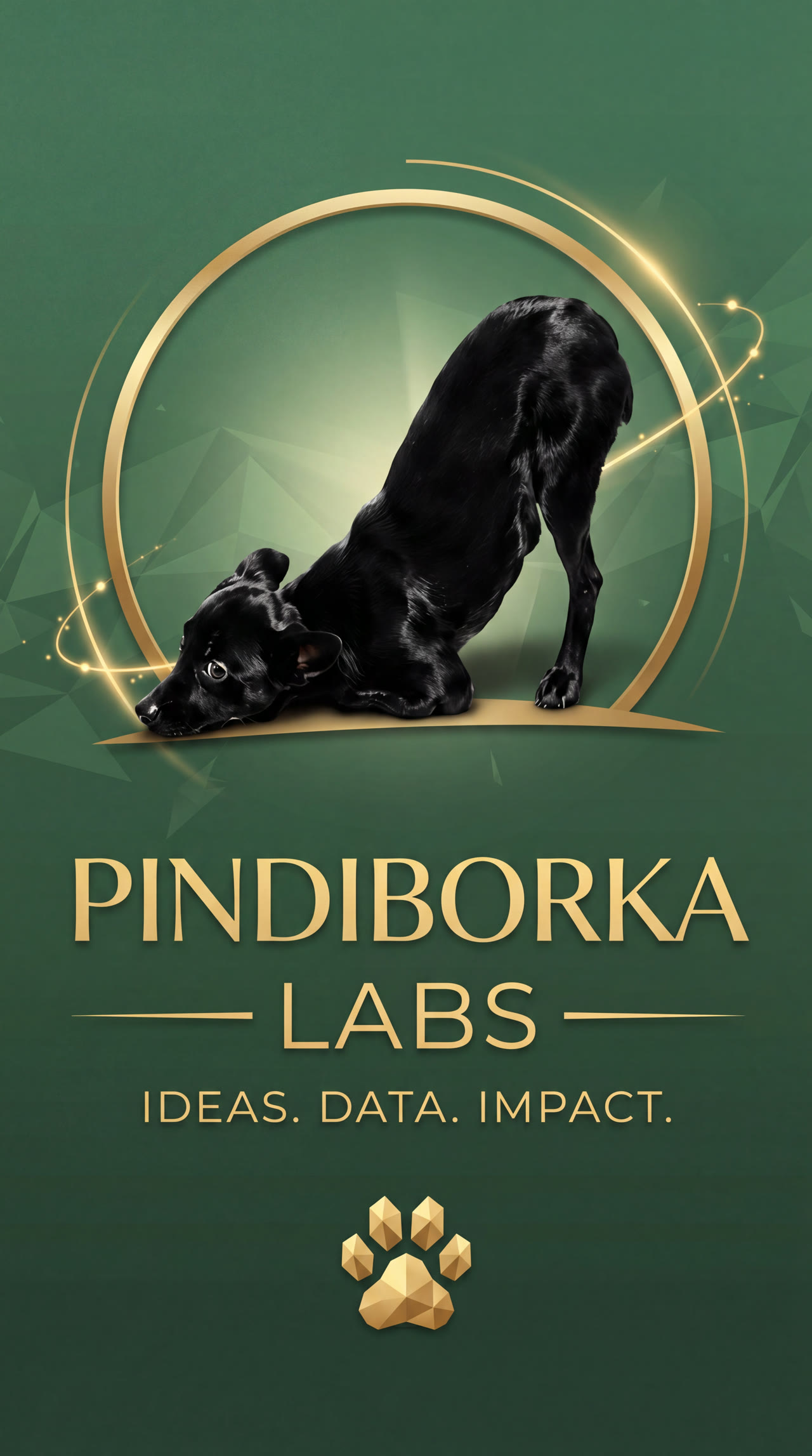Pindiborka, the studio's namesake